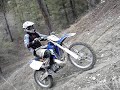 the new yz250 the new yz250