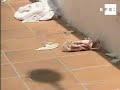 Fallece uno de los guardias jurados heridos en un atraco,