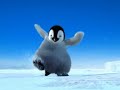 TINKU Pinguino Bailando en el \"NEVADO\" HUAYNA POTOSÍ TINKU Pinguino Bailando en el \"NEVADO\" HUAYNA POTOSÍ