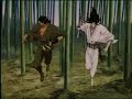 Wild Child - Ninja Scroll AMV Wild Child - Ninja Scroll AMV