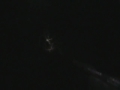 1/2/10 alabama coon hunt part 4