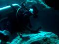videos de The Action Man
