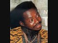 tiger ride pun riddim
