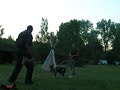 Bu?ka, obrona