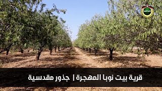 بيت نوبا المهجرة | جذور مقدسية 2019 بيت نوبا المهجرة | جذور مقدسية 2019