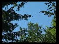 Transylvania&Carpathians