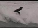 The Surfing Tribe The Surfing Tribe