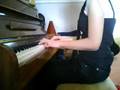The beginning of the Totoro Theme Tune