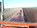 IMT 560 i 757.2 ORANJE 2009..MOV