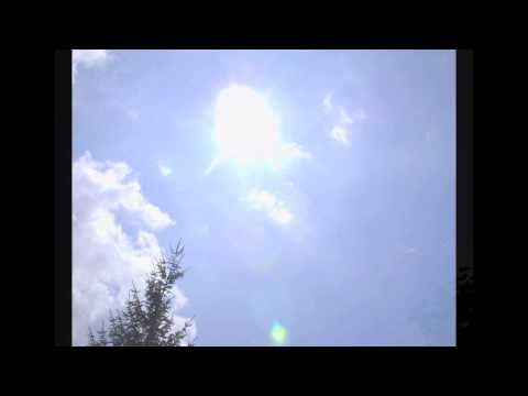 how to grow practically everything