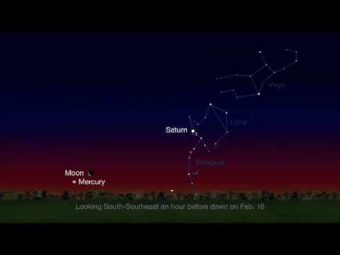 how to locate beehive cluster