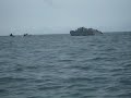 Resident Gunboat Lake Malawi, Senga Bay Resident Gunboat Lake Malawi, Senga Bay