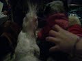 Unexpected Webkinz Love Unexpected Webkinz Love