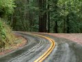 Mt. Tamalpais Cycling - 5 - Bolinas Fairfax Rd