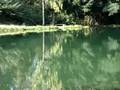 videos de Criadero de Truchas Río Negro (El Bolsón, Argentina)