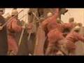 Hannibal -The Man The Myth The Mystery: Hannibal's Elephants