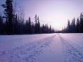 English voice translation of the meaning of the Quran surat Al-Imran ( The Famiy of Imran ) 2/14