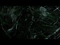 Allevamento di cardellini 2