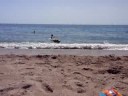 playa 2008
