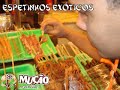 Mucao.com.br - Adventure - Comentando Sobre os Espetinhos Mucao.com.br - Adventure - Comentando Sobre os Espetinhos