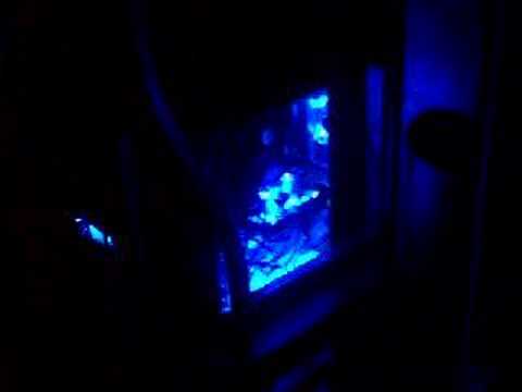 Computer Flash - Balla Nation