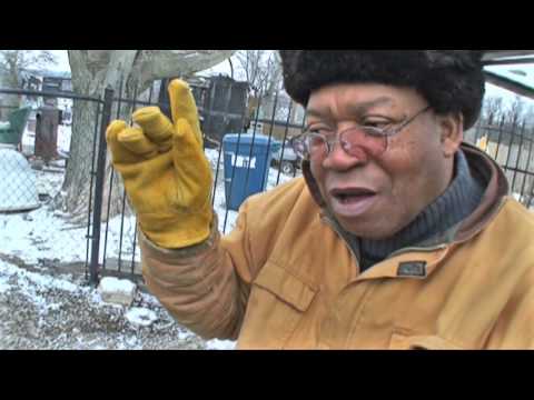 Watch This video Watch This video