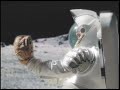 Baseball on the Moon