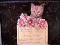 Tribute to the Unborn