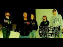 videos de 10 Pig Squeals.wmv