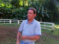 Mario Gomez monta Yegua America Paso Fino Puertorriqueno, de Pro de Raul Ortiz Mario Gomez monta Yegua America Paso Fino Puertorriqueno, de Pro de Raul Ortiz