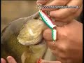 Pike Fishing in Cambridge Britain