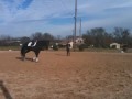 Weyka Trakehner Mare