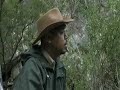 overlander tv   mumbulla mountain aboriginal sacred site