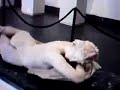 Watch out for the surprise at the end! Watch out for the surprise at the end!