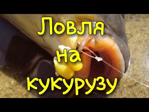 YouTube Трейлер