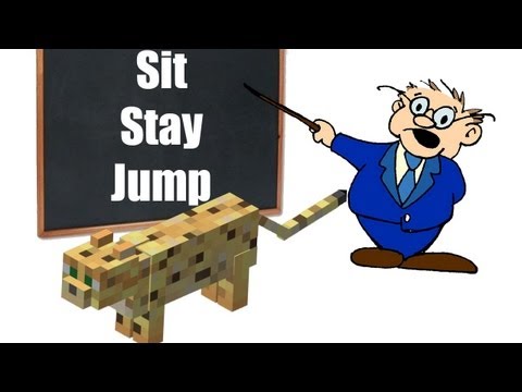 how to train your ocelot in minecraft