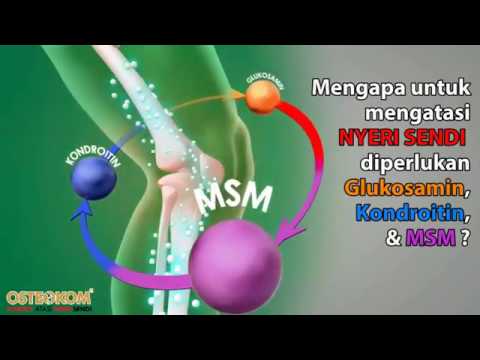 Mengapa diperlukan Glukosamin, Kondroitin, & MSM untuk mengatasi nyeri sendi?