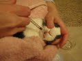 Hudson - use bunny burrito to give medicine