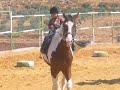Turmusayya Equestrian Club 1