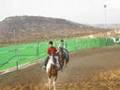 Turmusayya Equestrian Club 1