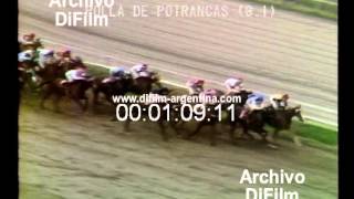 Historia, Polla 1991