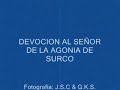 una vida muy surcana


cuando reci�n ten�a 4 a�os, (a�o 1972) viv�a en santiago de surco, a�n entonces rodeado por extensas chacras, y desde donde nos �bamos con hermanos, primos y t�os a pasear por la antigua hacienda san juan lo cual constitu�a todo un maravilloso d�a de campo, cazando insectos, mirando los plant�os, los pajaritos y las vaquitas.

pero sin duda la semana santa era lo que m�s cautivaba mi inocente pero fervorosa y autentica atenci�n. el viernes de dolores con la procesi�n de la virgen dolorosa acompa�ando al se�or de las vi�as, luego el domingo de ramos con la procesi�n del se�or del triunfo montado en su burrita blanca y acompa�ado por san juan evangelista y su inseparable madre la virgen dolorosa eran ineludibles de contar con mi presencia, cargado 