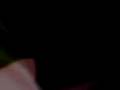 videos de Numero 10