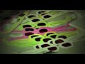 dalle 11,00 alle 6,00 del mattino 3 loft con allestimenti, visuals, gadgets e soprattutto techno!