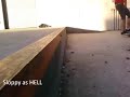 Gay Heel off Autozone dock
