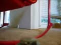 On-Roomba Camera