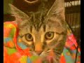 A-OFR Miracle Adopted 11-15-2009