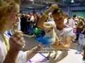 Burmesecats on the Catshow Wiener Neustadt 2008