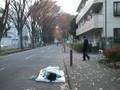 アム-トモダチバイオリズムⅡ