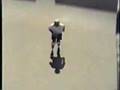 Vertical Inline and Quad Skating